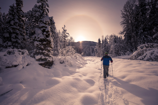 Cross country ski training